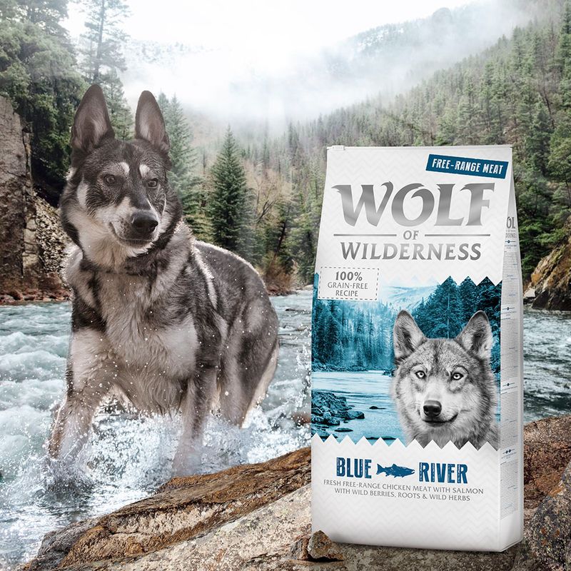 Grain-free dog food