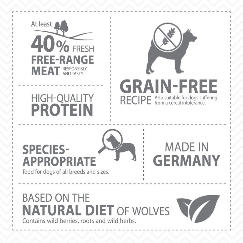 Wolf logo view