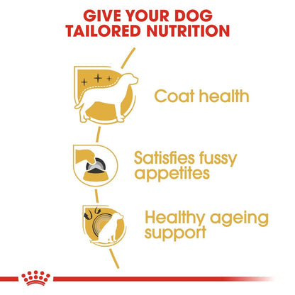 Dog food brand advertisement highlighting tailored nutrition for dogs with coat health, satisfying fussy appetites, and healthy ageing support.